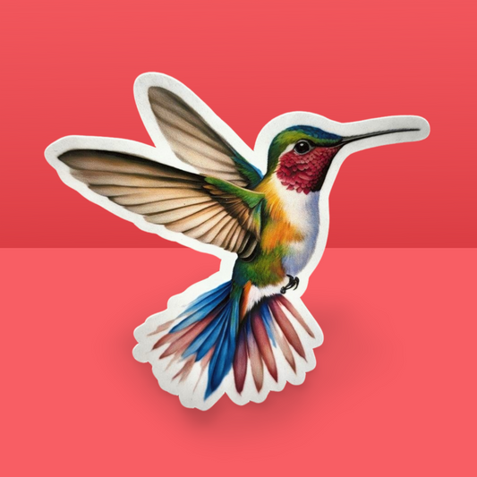 Colorful hummingbird son a red background
