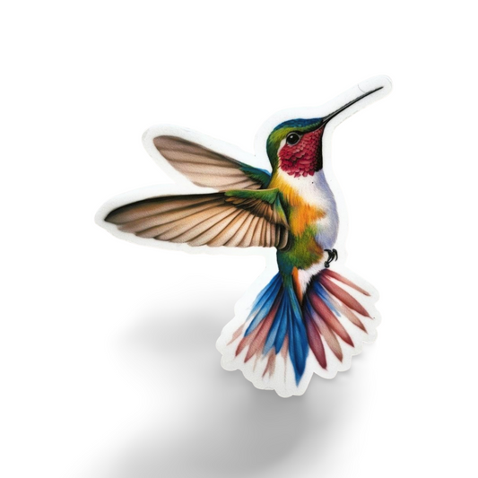 Colorful hummingbird illustration on a white background