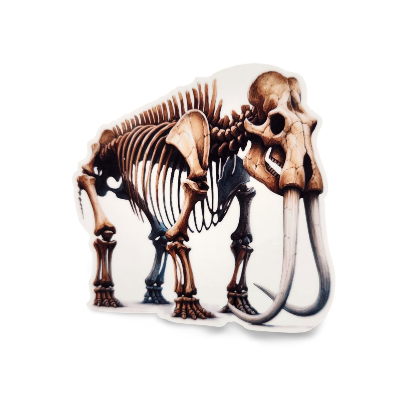Mammoth skeleton model on a white background
