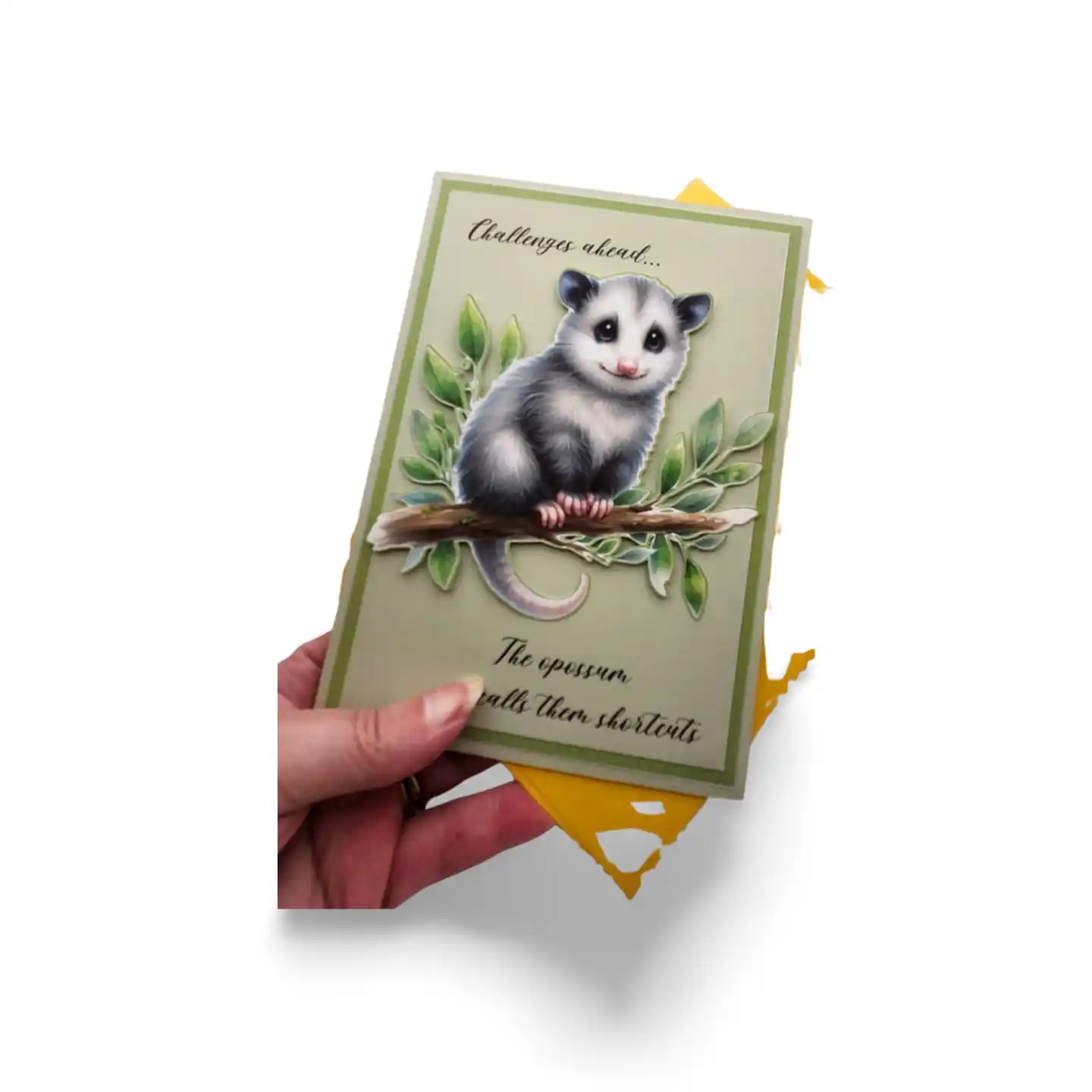 Card with an opossum illustration held by a hand on a white background