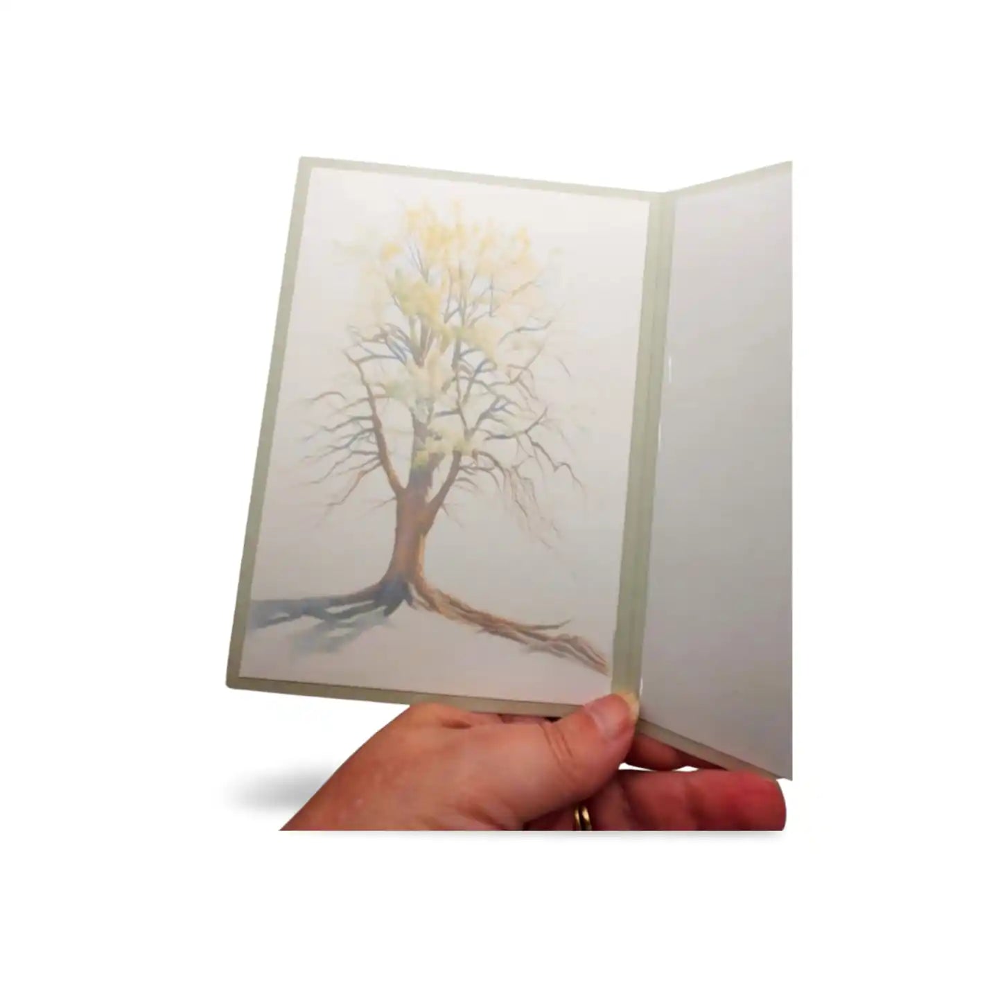 Hand holding a card with a tree illustration on a white background