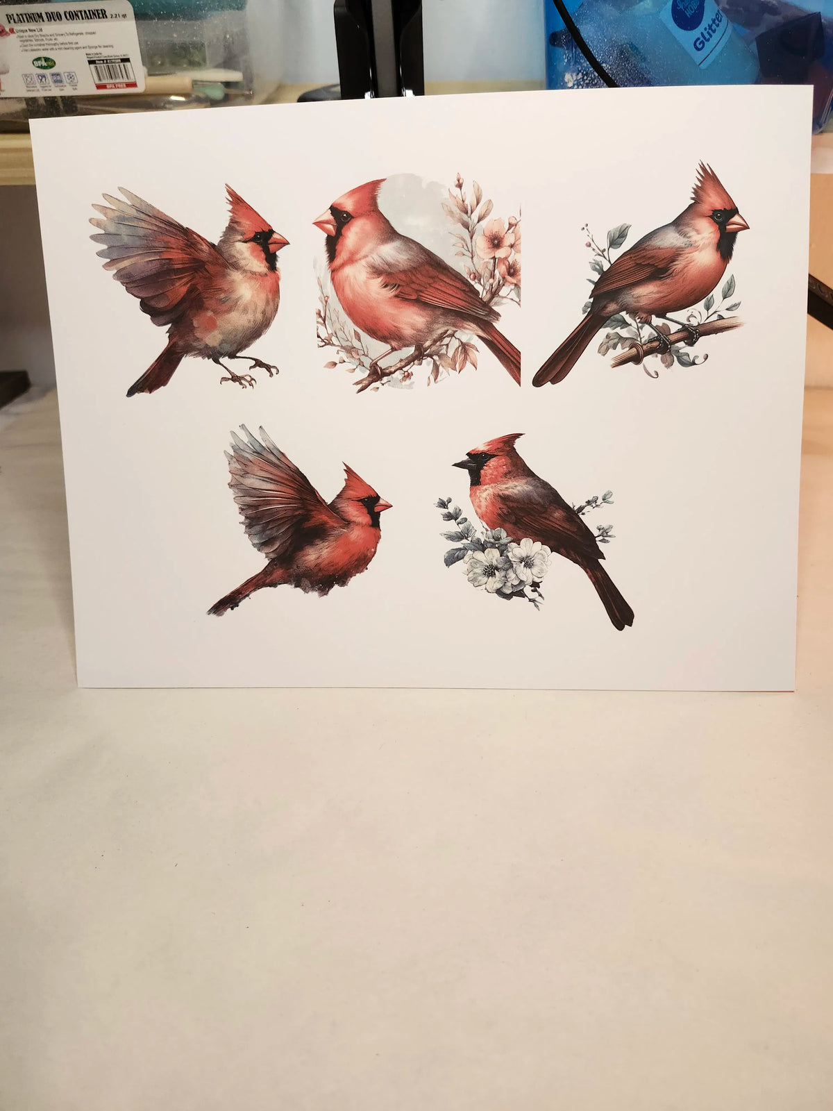 Card with illustrations of cardinals on a plain background
