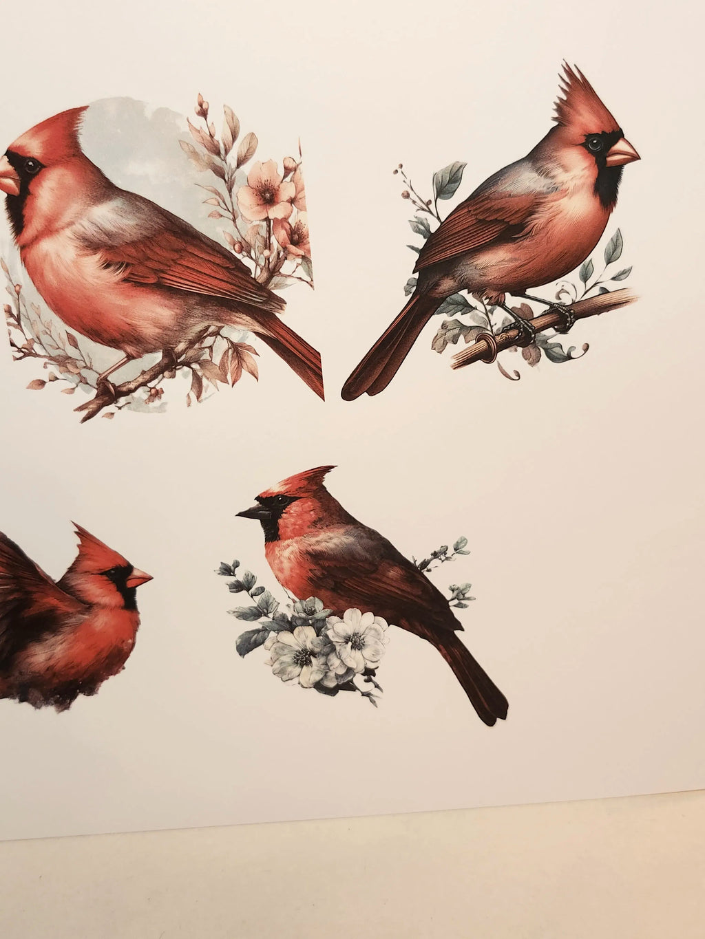 Cardinal birds with floral branches on a beige background