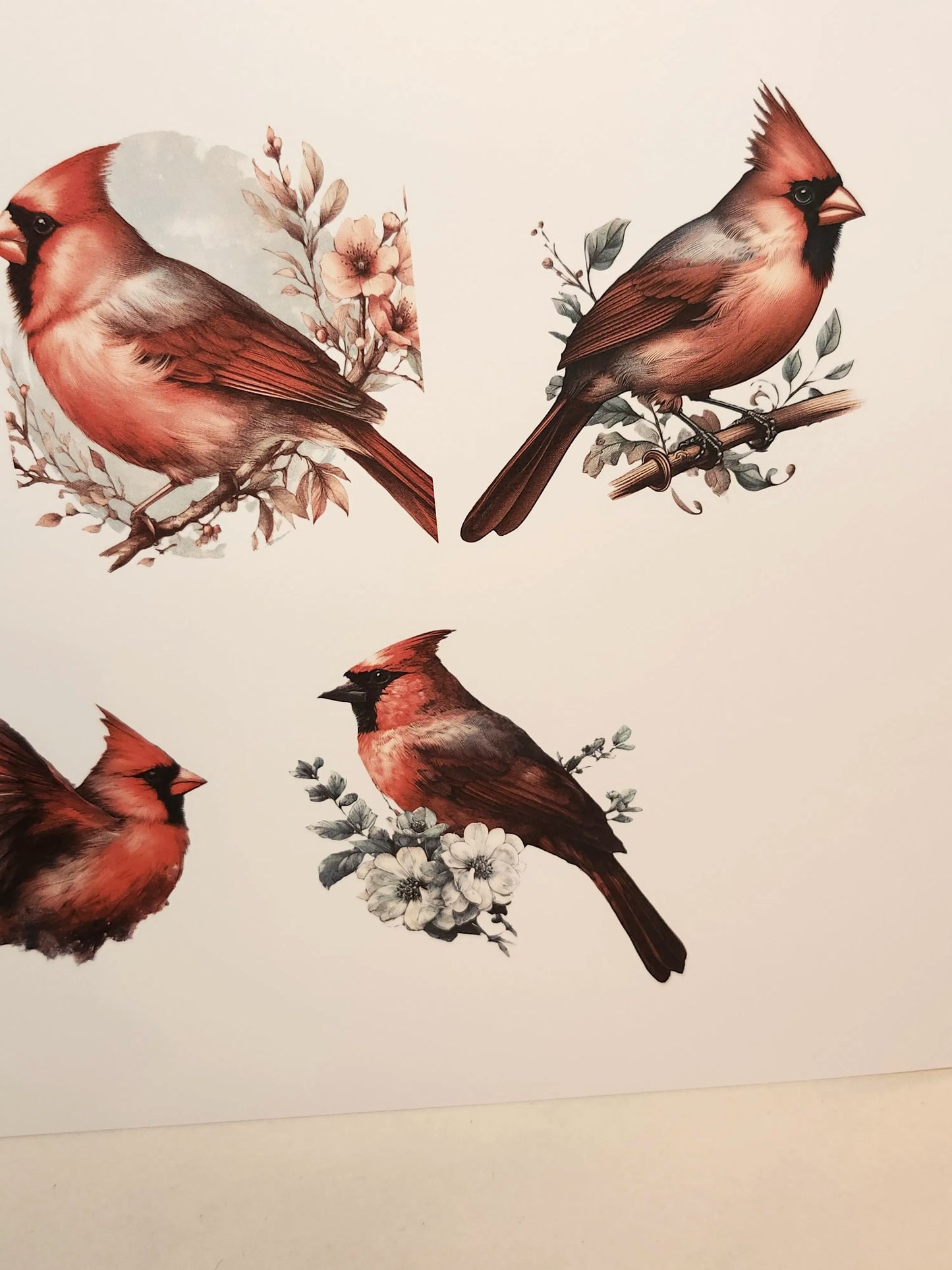 Cardinal birds with floral branches on a beige background
