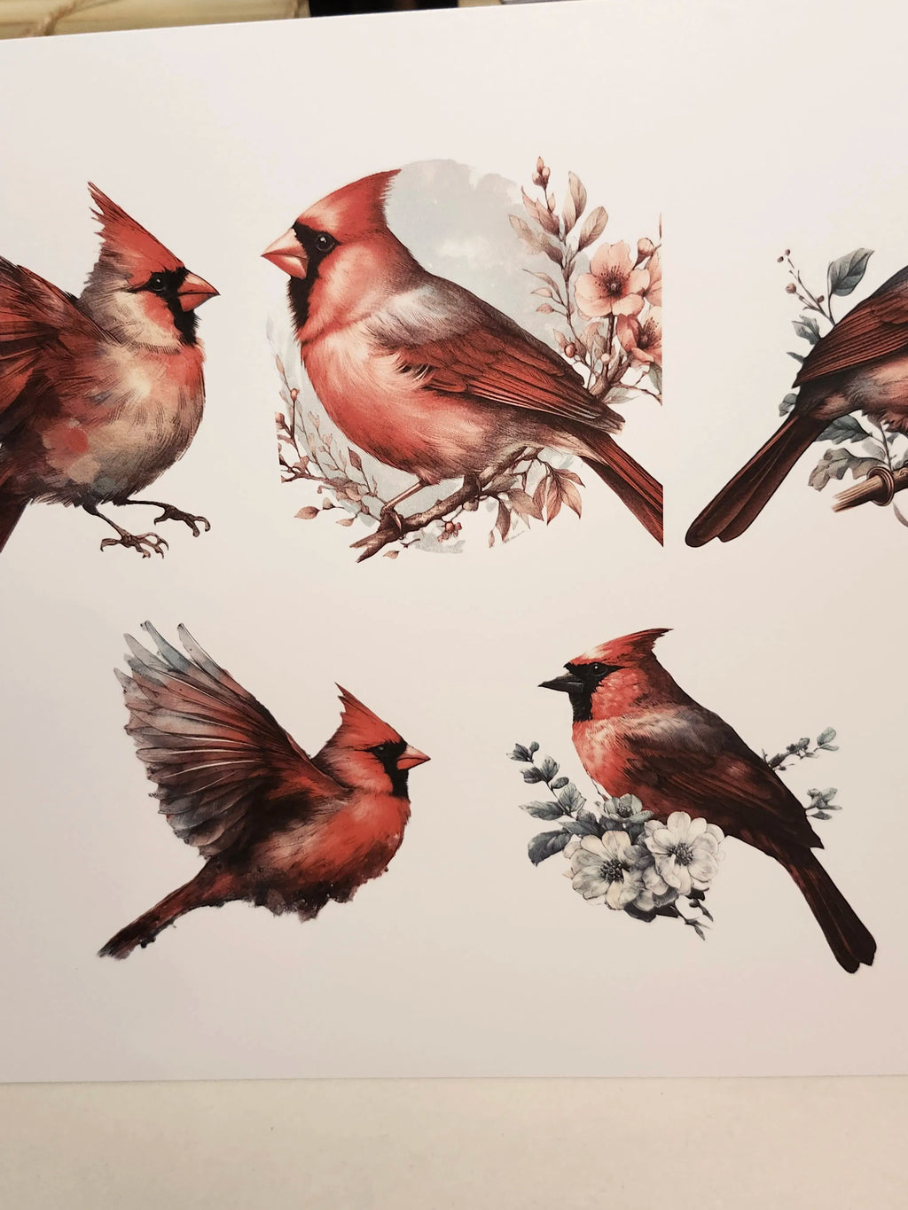 Cardinal birds with floral elements on a beige background