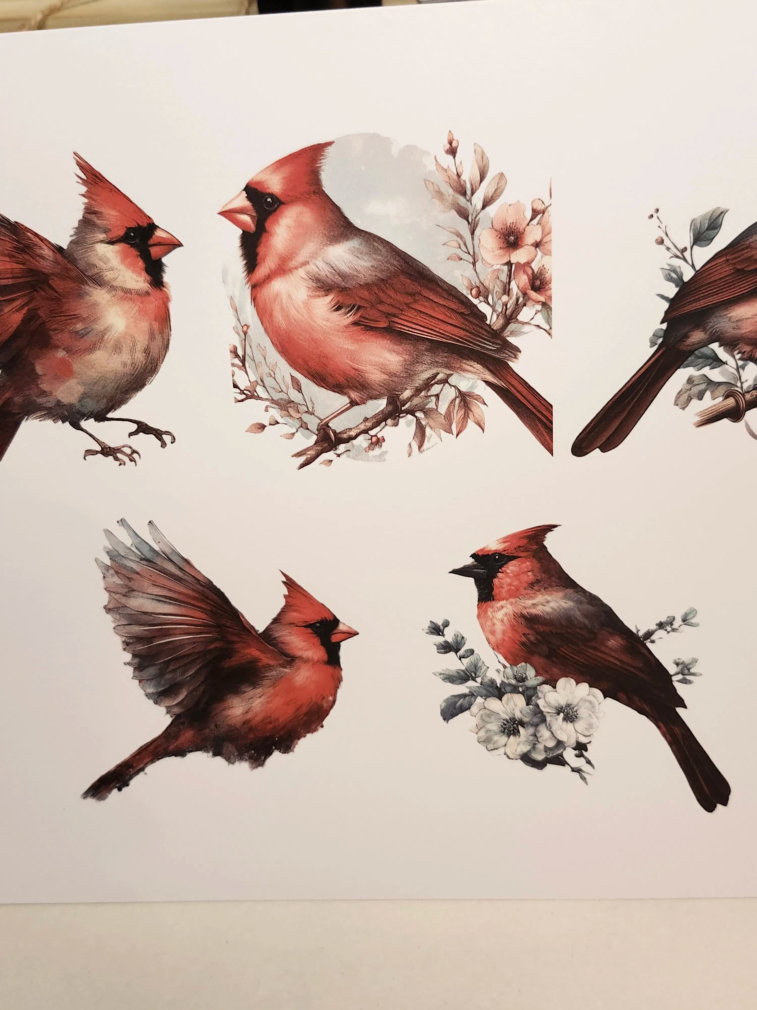 Cardinal birds with floral elements on a beige background