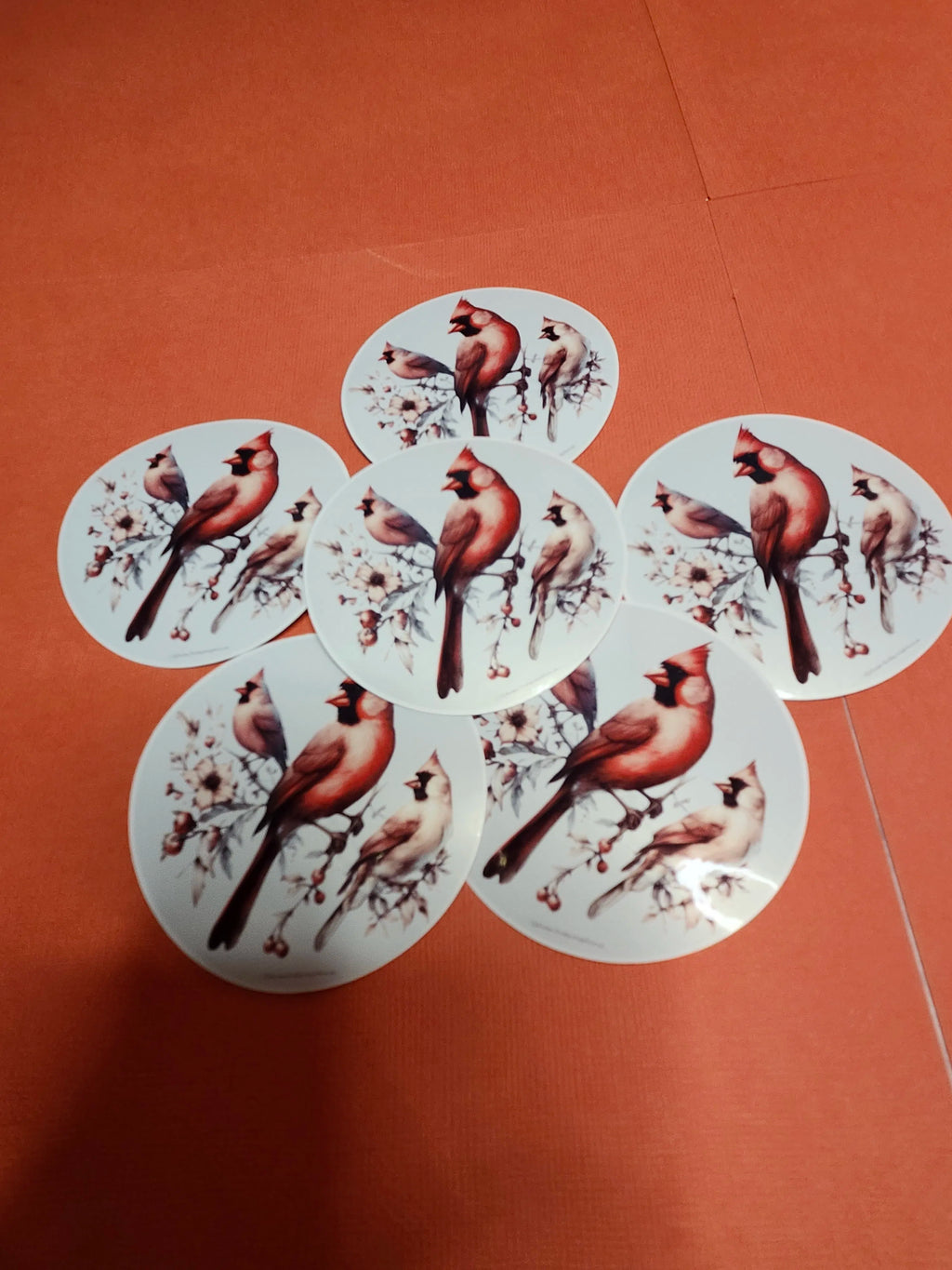 Circular stickers with bird designs arranged in a circular pattern on an orange surface.