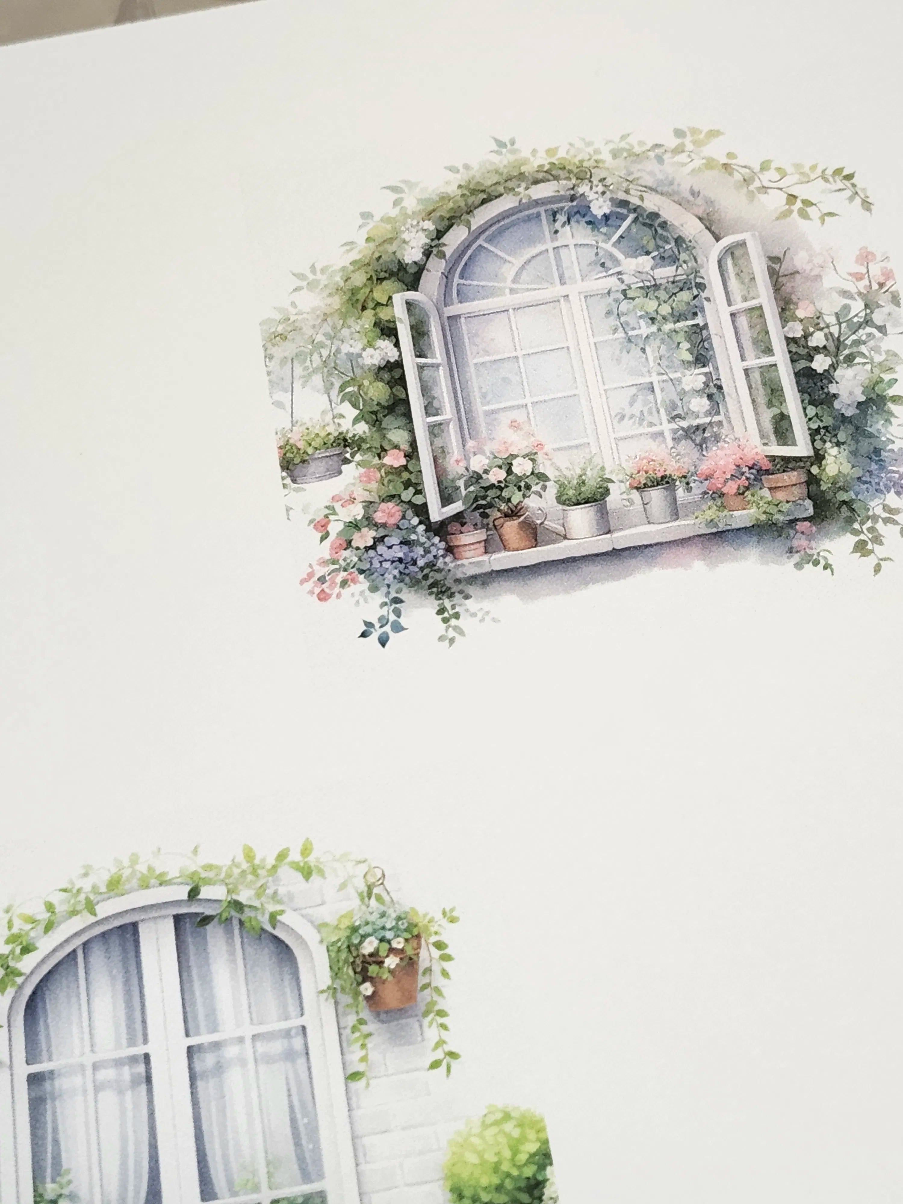 Decorative illustration of a window with flowers and plants on a white background