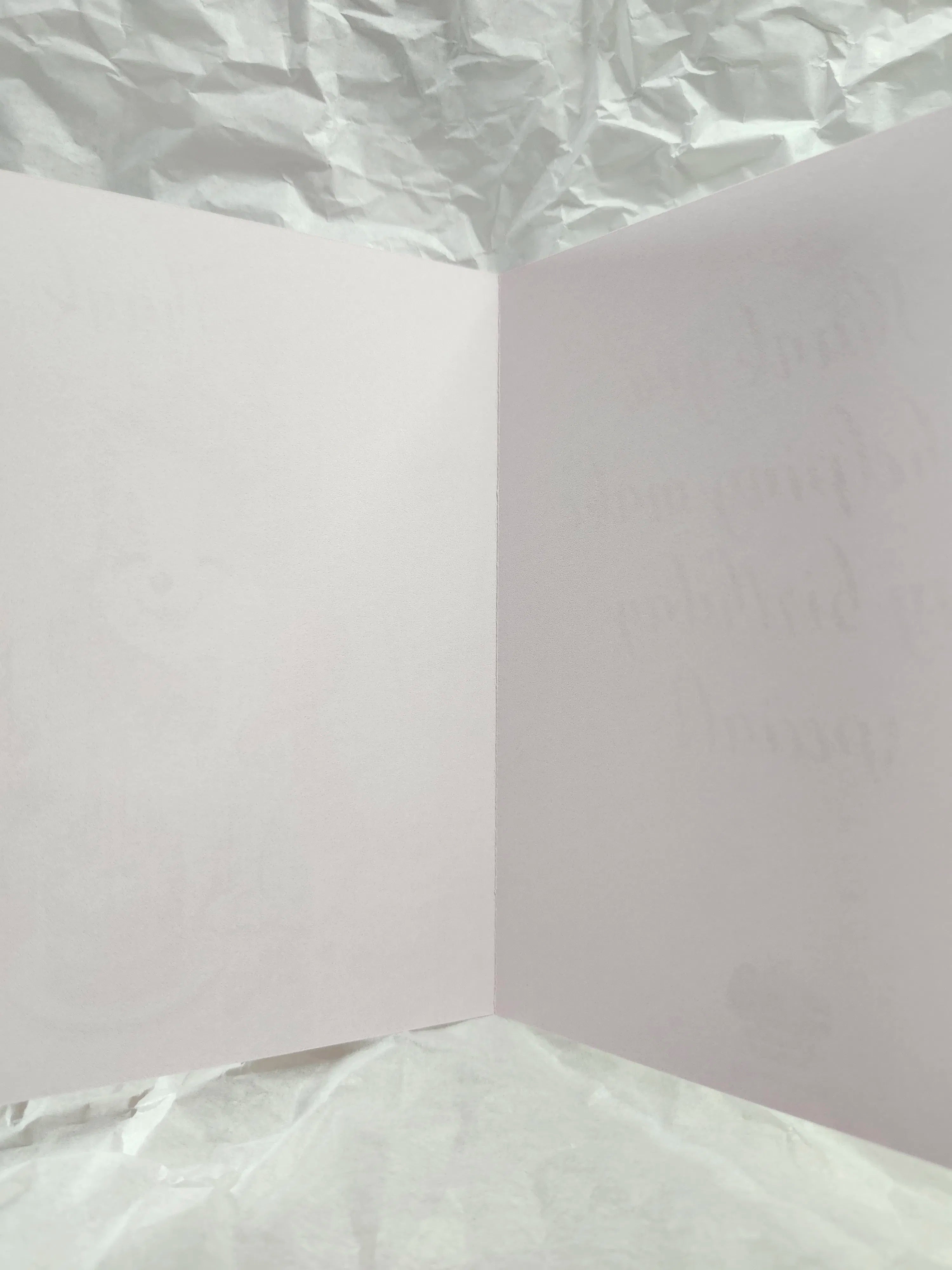 Birthday Pup Thank‑You Card – A2 Size – Silhouette Studio SVG