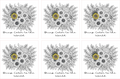 Six floral coloring book pages with black and white flowers and a yellow center, text 'Bring Color to the World' below each.