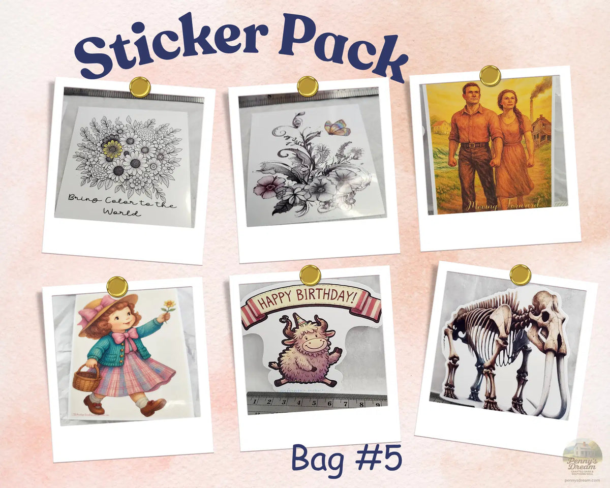 Sticker Set (Exact Stickers Shown) - Bag # 5