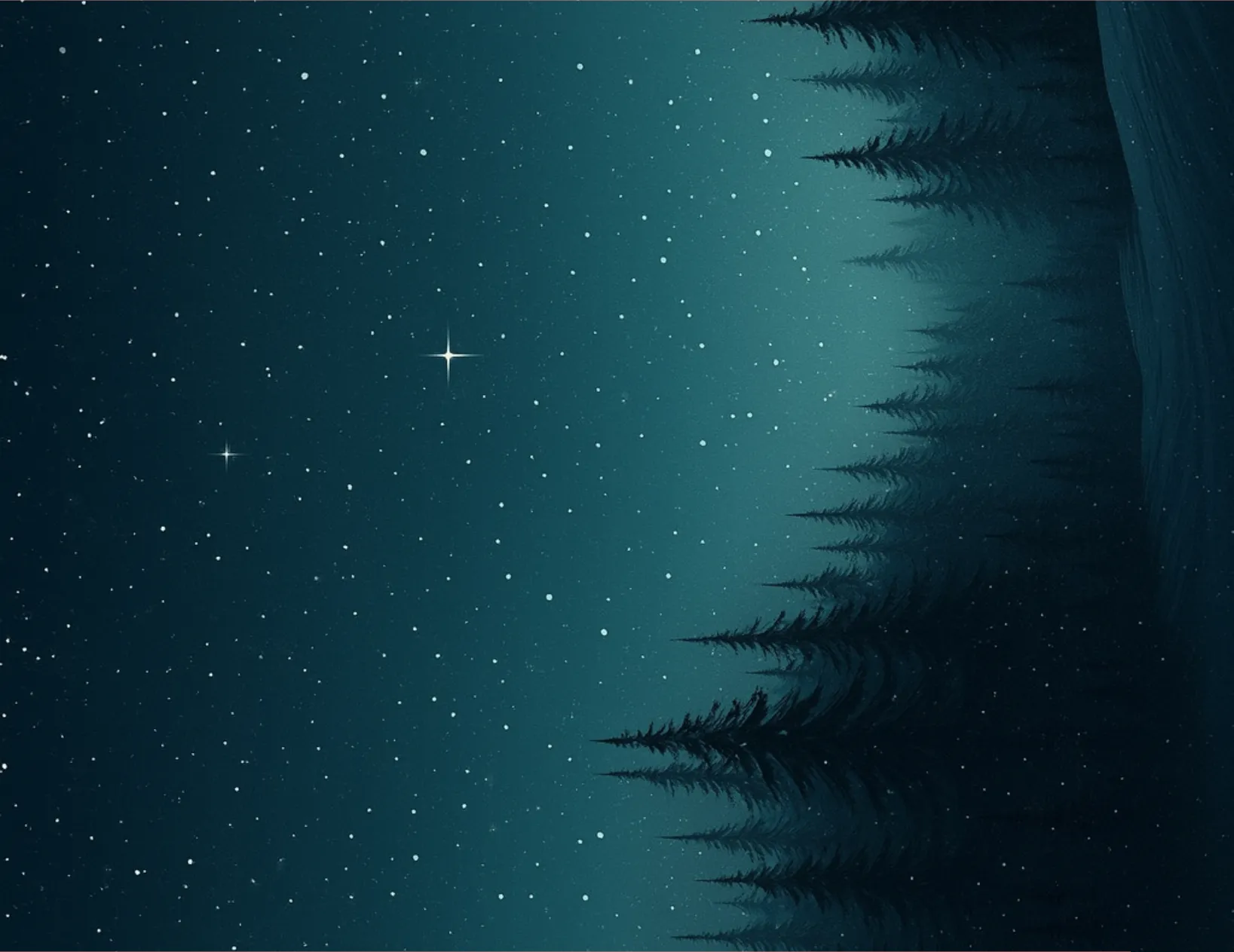 Silhouette of trees against a starry night sky