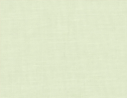 Solid light green color swatch