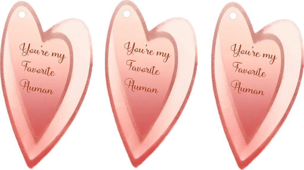 Three heart-shaped acrylic tags with a pink gradient design and the phrase 'You're my Favorite Human' printed in rose gold script, shown on a plain white background.