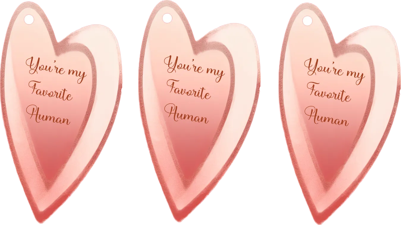 Three heart-shaped acrylic tags with a pink gradient design and the phrase 'You're my Favorite Human' printed in rose gold script, shown on a plain white background.