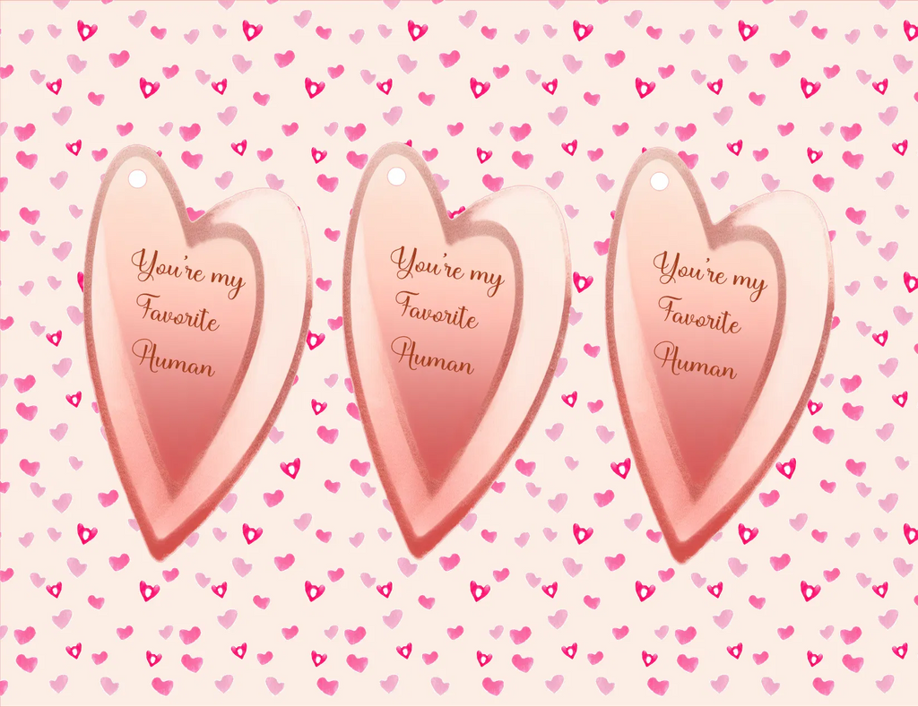 Three pink heart-shaped hanging tags with the phrase 'You're my Favorite Human' in gold script, displayed against a light pink background patterned with small hearts.