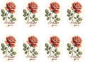 Rose Thank you Stickers